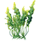 Extracto de Alga Kelp