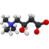 L-Carnitina