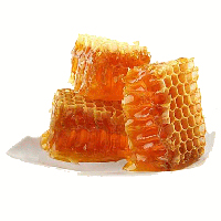 Miel y cera de abejas