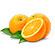 Extracto de naranja amarga